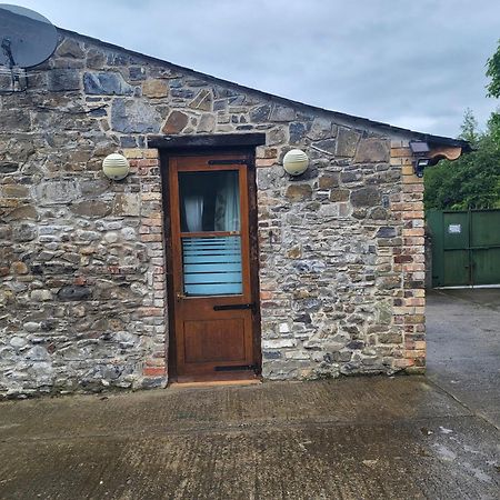 Mount Pleasant Country House Lucan Exterior foto